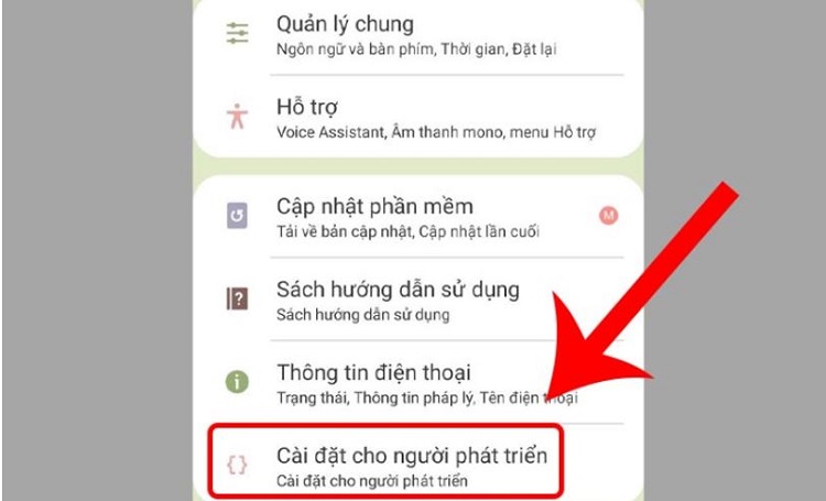 Cài đặt cho người phát triển