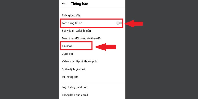 Cài đặt thông báo tin nhắn Instagram bước 2