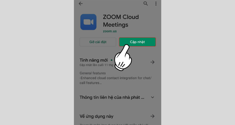 Cập nhật phiên bản mới nhất của ứng dụng Zoom