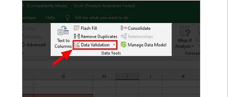 Data Validation