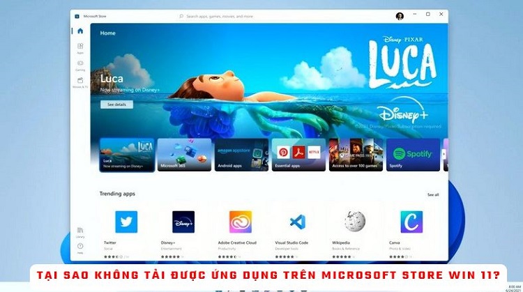 Giải đáp – Tại sao không tải được ứng dụng trên Microsoft Store Win 11?