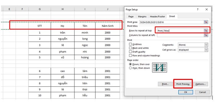 Cách giữ hàng cố định trong Excel khi in bước 4