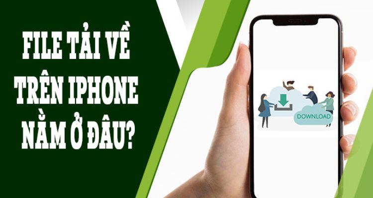 Tải file từ Zalo về iPhone nằm ở đâu