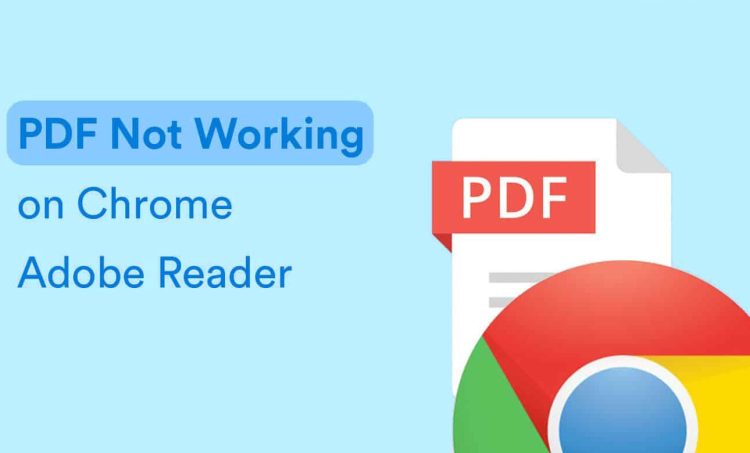 Tại sao không thể mở được file PDF trên Google Chrome